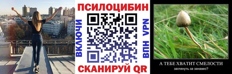 Галлюциногенные грибы мухоморы  купить наркоту  Берёзовский 